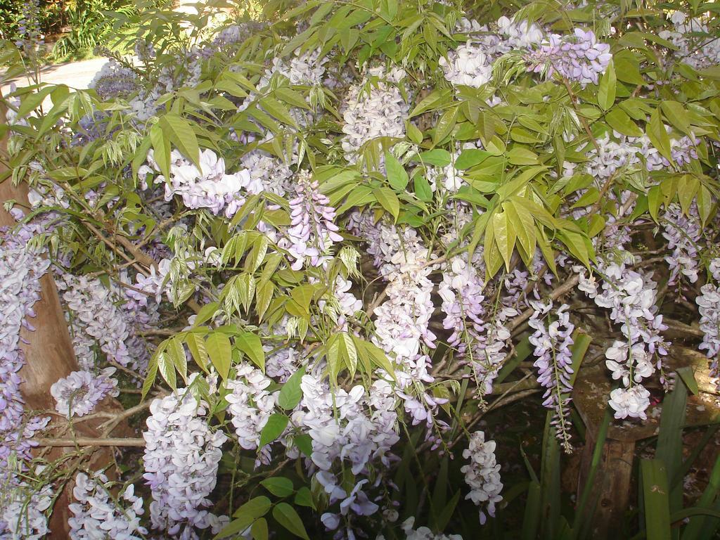 Sitio Nossa Senhora De Loreto Campos do Jordão Екстериор снимка